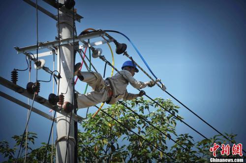 Data map: An electric power operator in Fuzhou braved the high temperature to climb the pole to work. Photo by Wang Dongming